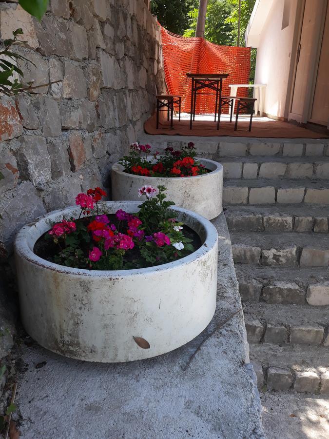 Apartmani Viza Risan Extérieur photo